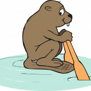 Vector Beaver PNG File Download Free